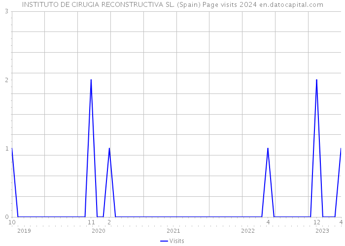 INSTITUTO DE CIRUGIA RECONSTRUCTIVA SL. (Spain) Page visits 2024 