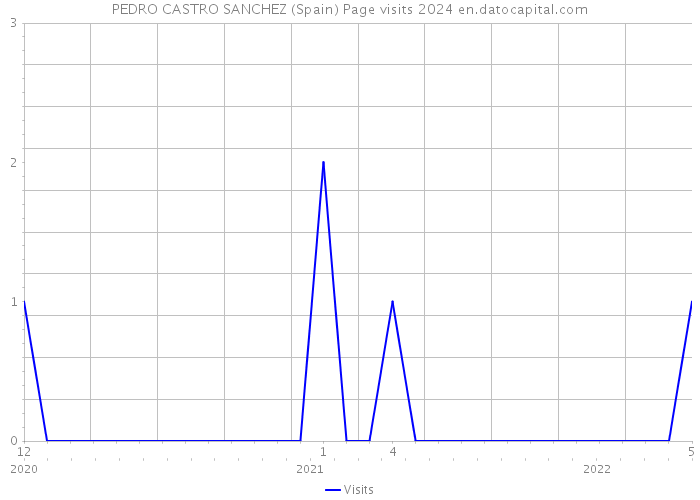 PEDRO CASTRO SANCHEZ (Spain) Page visits 2024 