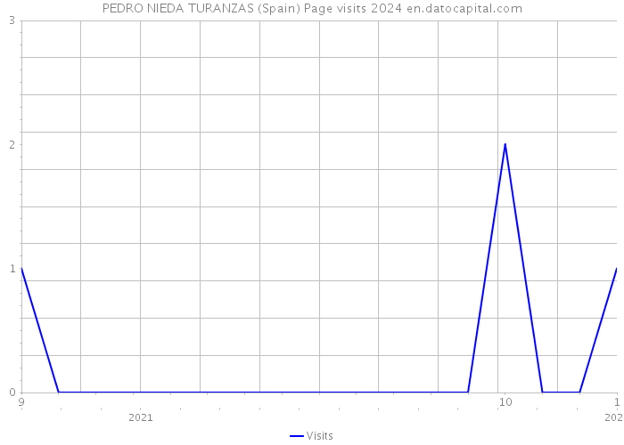 PEDRO NIEDA TURANZAS (Spain) Page visits 2024 