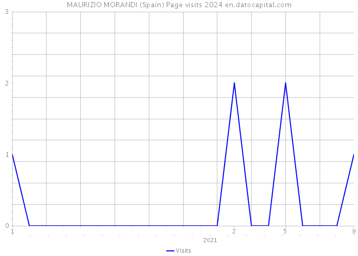MAURIZIO MORANDI (Spain) Page visits 2024 