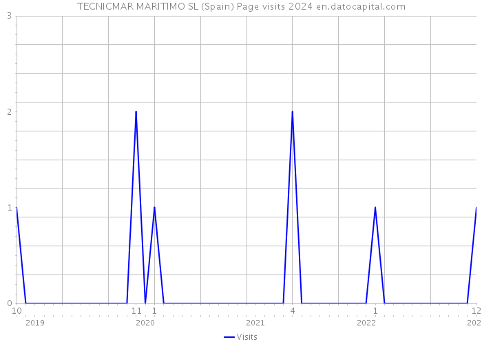 TECNICMAR MARITIMO SL (Spain) Page visits 2024 