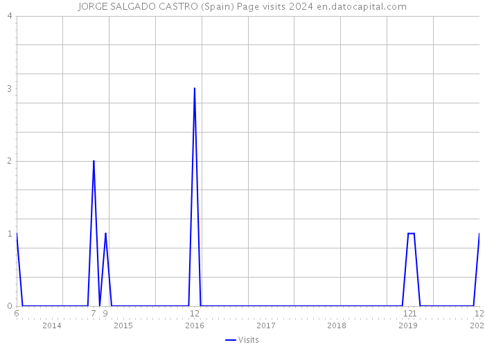 JORGE SALGADO CASTRO (Spain) Page visits 2024 