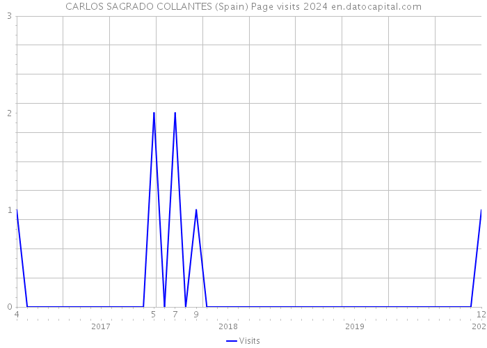 CARLOS SAGRADO COLLANTES (Spain) Page visits 2024 
