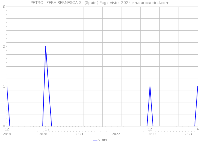 PETROLIFERA BERNESGA SL (Spain) Page visits 2024 