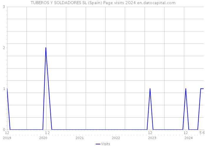 TUBEROS Y SOLDADORES SL (Spain) Page visits 2024 