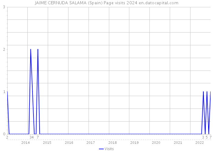 JAIME CERNUDA SALAMA (Spain) Page visits 2024 