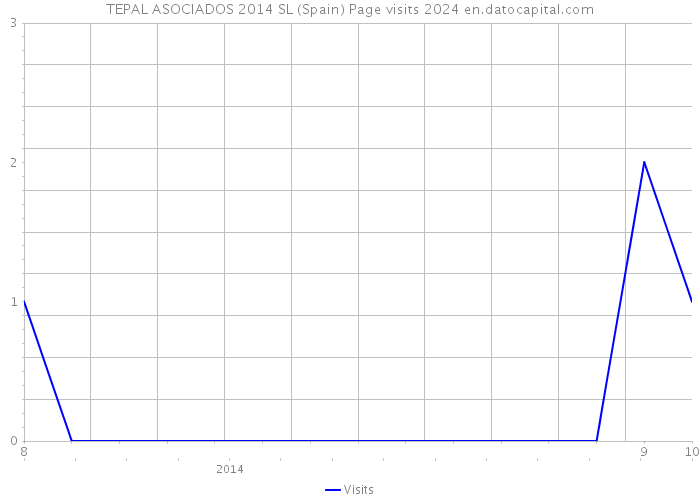 TEPAL ASOCIADOS 2014 SL (Spain) Page visits 2024 