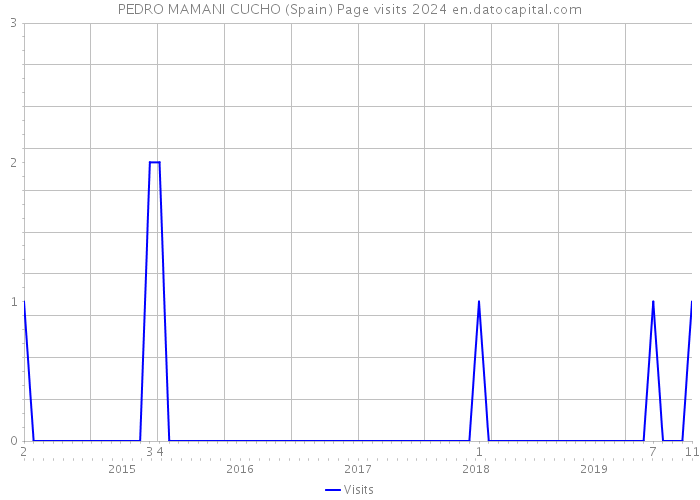 PEDRO MAMANI CUCHO (Spain) Page visits 2024 