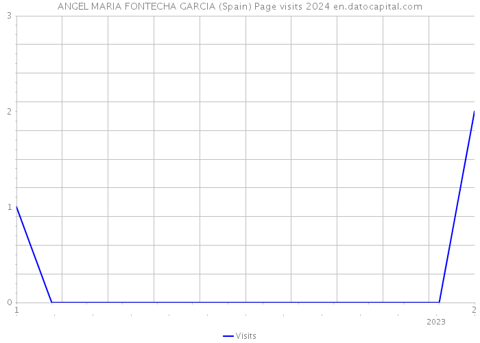 ANGEL MARIA FONTECHA GARCIA (Spain) Page visits 2024 
