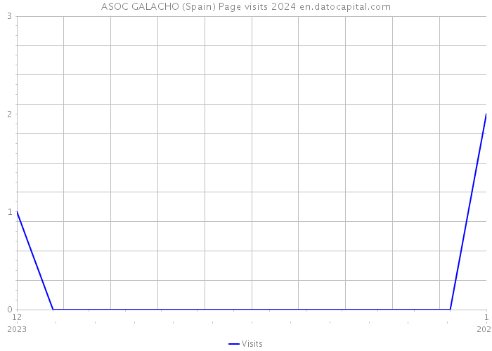 ASOC GALACHO (Spain) Page visits 2024 