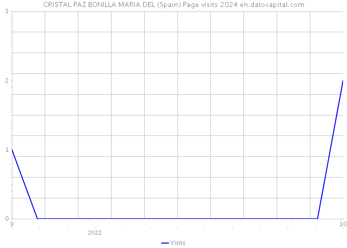 CRISTAL PAZ BONILLA MARIA DEL (Spain) Page visits 2024 