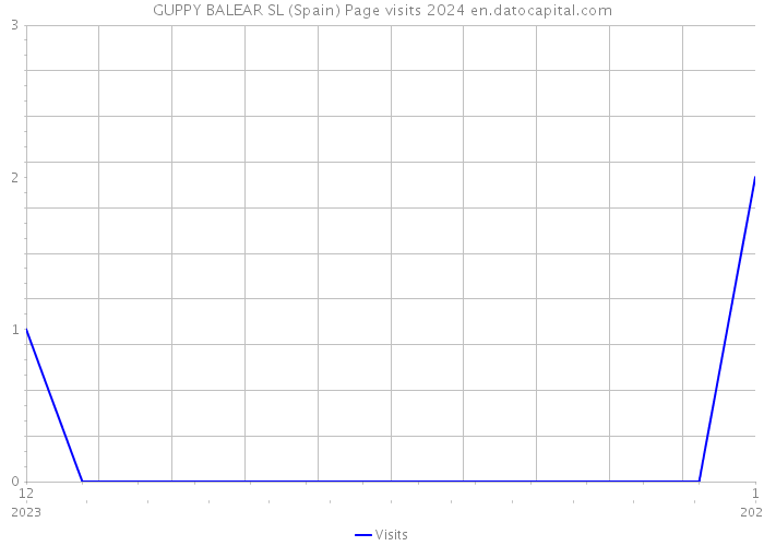 GUPPY BALEAR SL (Spain) Page visits 2024 
