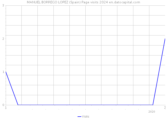 MANUEL BORREGO LOPEZ (Spain) Page visits 2024 