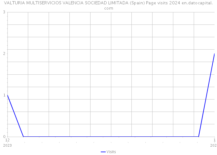 VALTURIA MULTISERVICIOS VALENCIA SOCIEDAD LIMITADA (Spain) Page visits 2024 