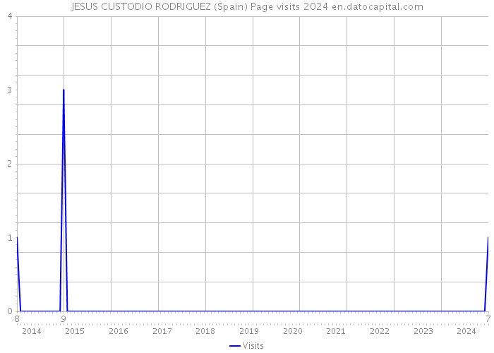 JESUS CUSTODIO RODRIGUEZ (Spain) Page visits 2024 