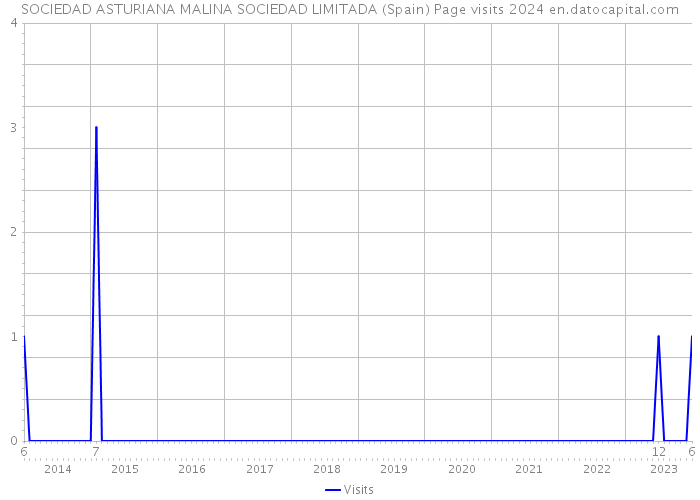 SOCIEDAD ASTURIANA MALINA SOCIEDAD LIMITADA (Spain) Page visits 2024 