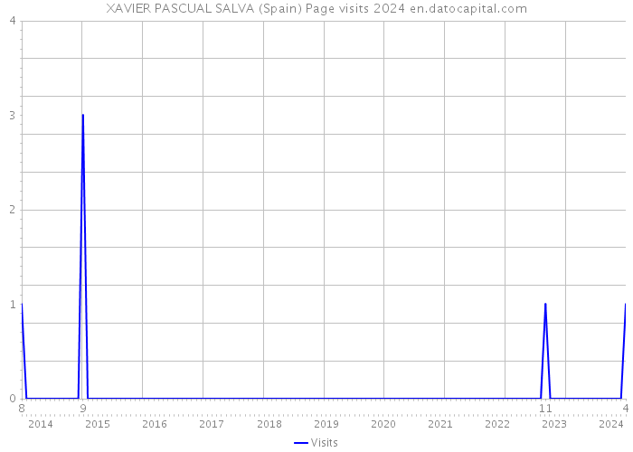 XAVIER PASCUAL SALVA (Spain) Page visits 2024 