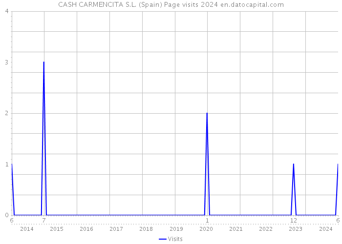 CASH CARMENCITA S.L. (Spain) Page visits 2024 