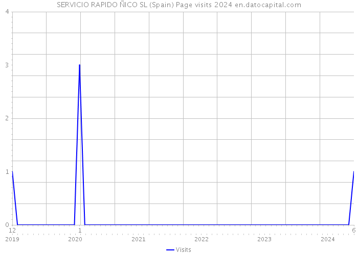 SERVICIO RAPIDO ÑICO SL (Spain) Page visits 2024 