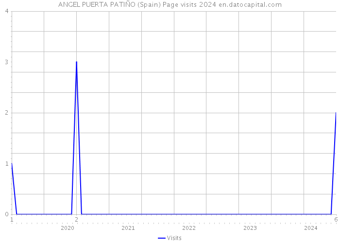 ANGEL PUERTA PATIÑO (Spain) Page visits 2024 