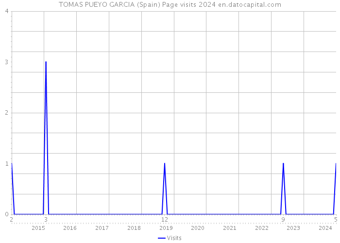 TOMAS PUEYO GARCIA (Spain) Page visits 2024 