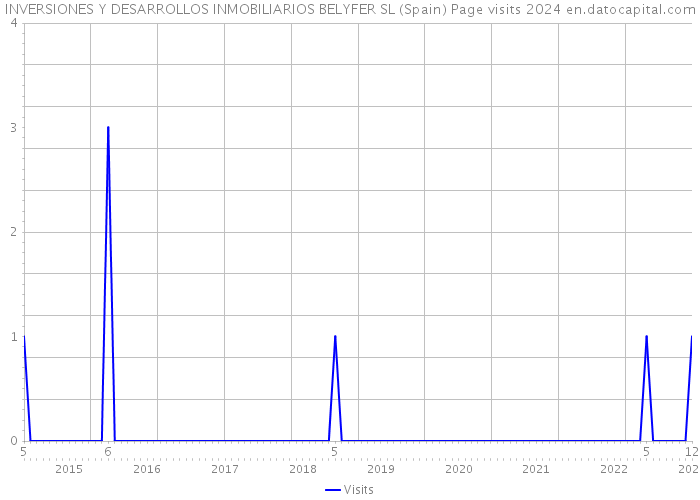 INVERSIONES Y DESARROLLOS INMOBILIARIOS BELYFER SL (Spain) Page visits 2024 