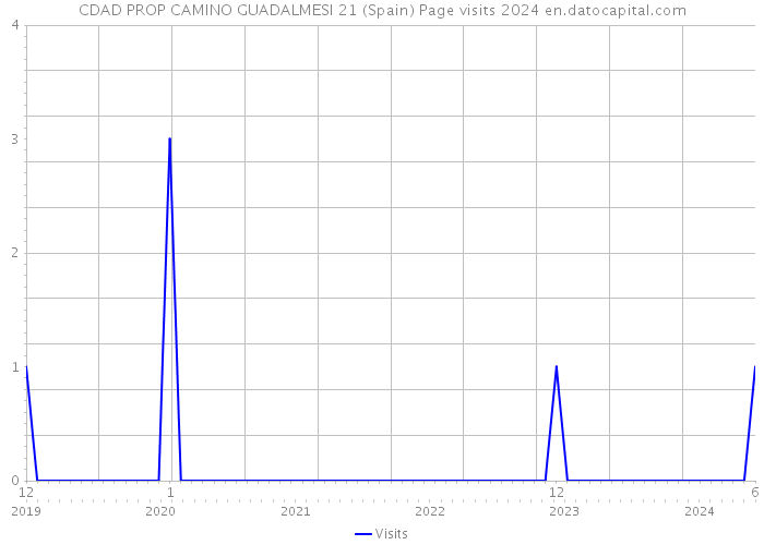 CDAD PROP CAMINO GUADALMESI 21 (Spain) Page visits 2024 