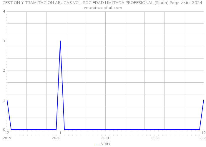 GESTION Y TRAMITACION ARUCAS VGL, SOCIEDAD LIMITADA PROFESIONAL (Spain) Page visits 2024 