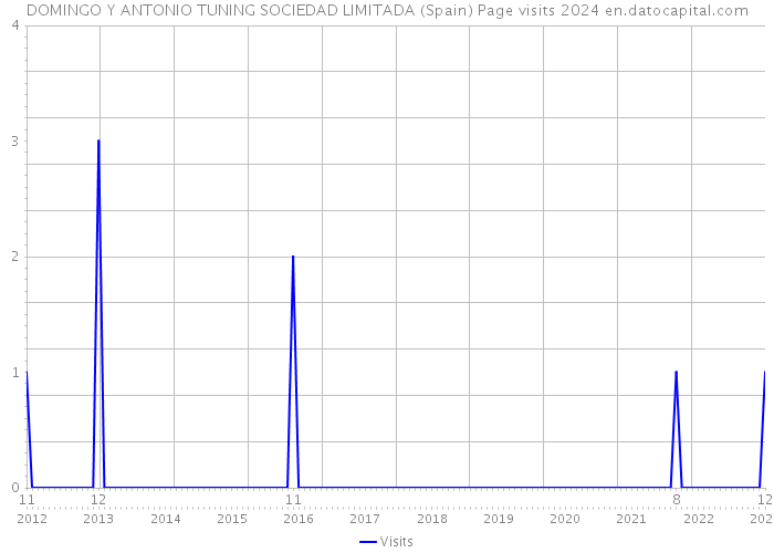 DOMINGO Y ANTONIO TUNING SOCIEDAD LIMITADA (Spain) Page visits 2024 