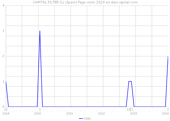 CAPITAL FILTER S.L (Spain) Page visits 2024 