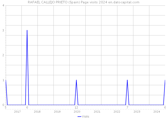 RAFAEL CALLEJO PRIETO (Spain) Page visits 2024 