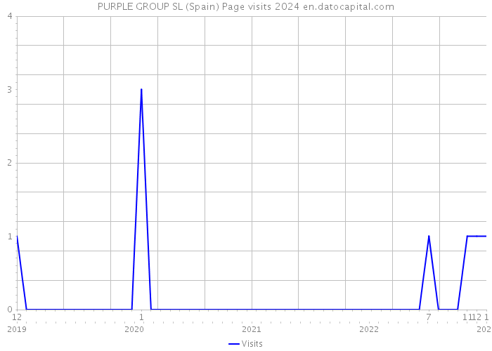 PURPLE GROUP SL (Spain) Page visits 2024 