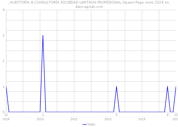 , AUDITORÍA & CONSULTORÍA SOCIEDAD LIMITADA PROFESIONAL (Spain) Page visits 2024 