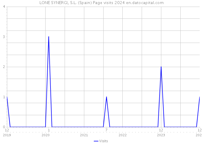  LONE SYNERGI, S.L. (Spain) Page visits 2024 