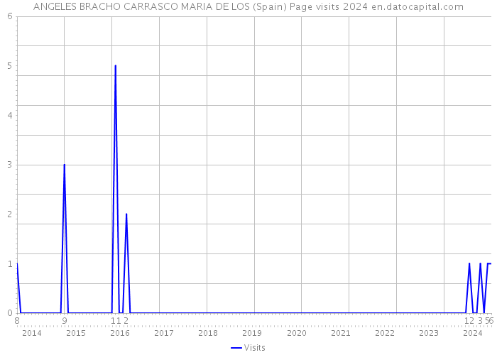 ANGELES BRACHO CARRASCO MARIA DE LOS (Spain) Page visits 2024 