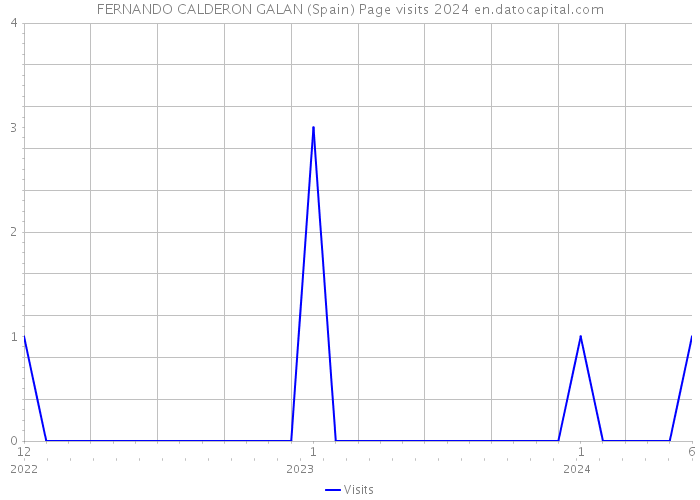 FERNANDO CALDERON GALAN (Spain) Page visits 2024 