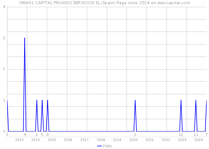 NMAS1 CAPITAL PRIVADO SERVICIOS SL (Spain) Page visits 2024 