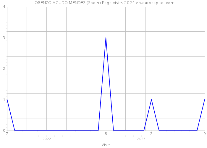 LORENZO AGUDO MENDEZ (Spain) Page visits 2024 