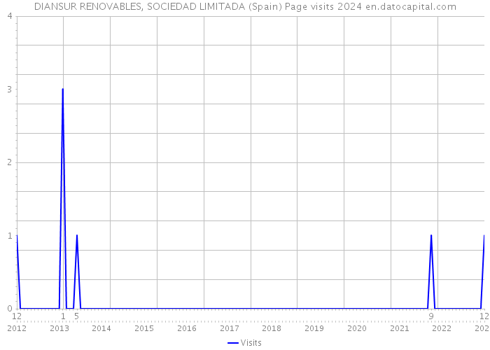 DIANSUR RENOVABLES, SOCIEDAD LIMITADA (Spain) Page visits 2024 
