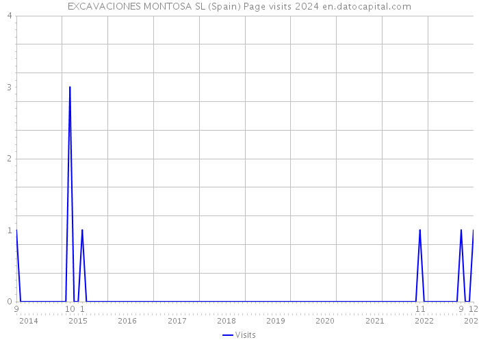 EXCAVACIONES MONTOSA SL (Spain) Page visits 2024 