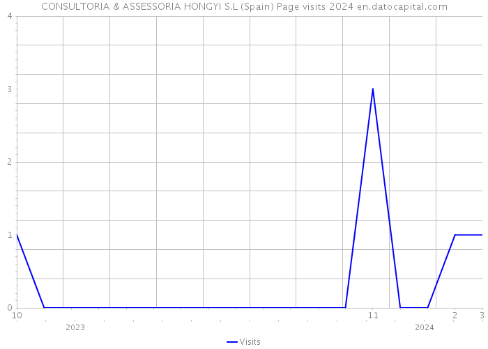 CONSULTORIA & ASSESSORIA HONGYI S.L (Spain) Page visits 2024 