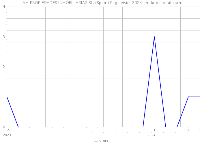 IAM PROPIEDADES INMOBILIARIAS SL. (Spain) Page visits 2024 
