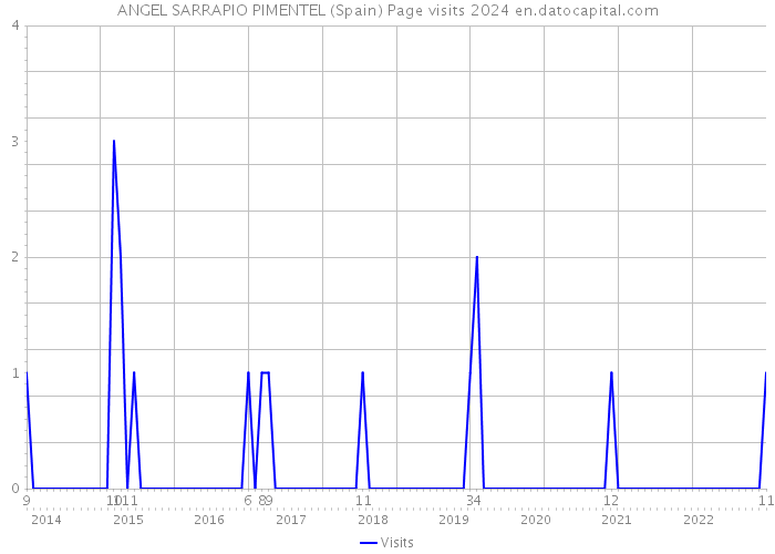 ANGEL SARRAPIO PIMENTEL (Spain) Page visits 2024 