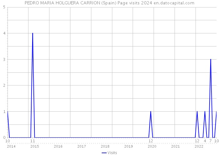 PEDRO MARIA HOLGUERA CARRION (Spain) Page visits 2024 