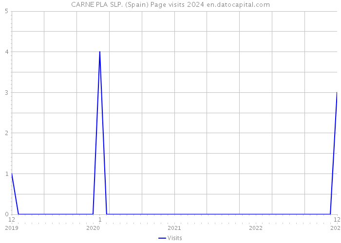 CARNE PLA SLP. (Spain) Page visits 2024 