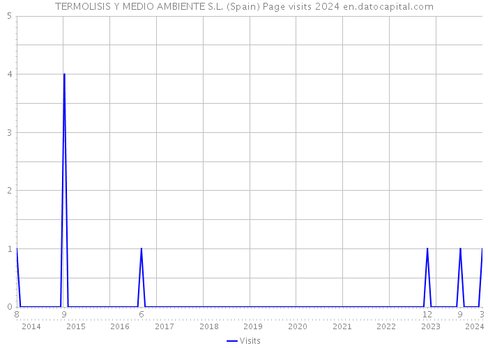 TERMOLISIS Y MEDIO AMBIENTE S.L. (Spain) Page visits 2024 