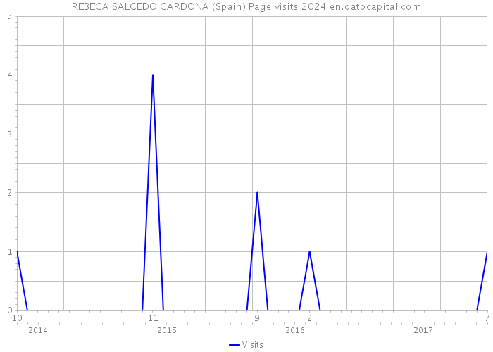 REBECA SALCEDO CARDONA (Spain) Page visits 2024 
