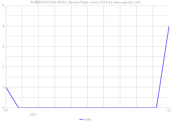 RUBEN RAIGON ARIZA (Spain) Page visits 2024 