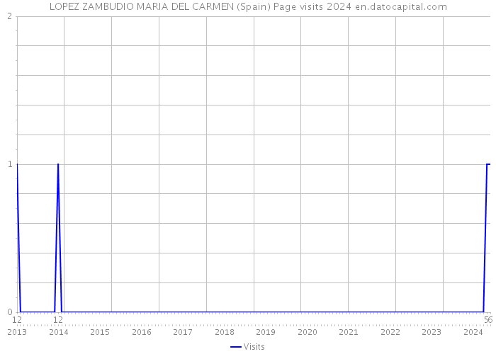 LOPEZ ZAMBUDIO MARIA DEL CARMEN (Spain) Page visits 2024 