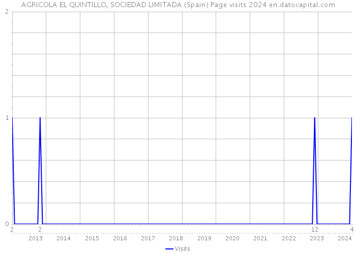 AGRICOLA EL QUINTILLO, SOCIEDAD LIMITADA (Spain) Page visits 2024 